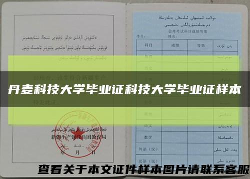 丹麦科技大学毕业证科技大学毕业证样本缩略图