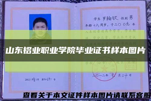 山东铝业职业学院毕业证书样本图片缩略图