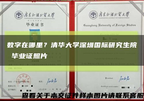数字在哪里？清华大学深圳国际研究生院 毕业证照片缩略图