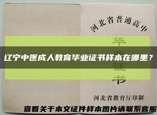 辽宁中医成人教育毕业证书样本在哪里？缩略图
