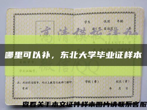 哪里可以补，东北大学毕业证样本缩略图