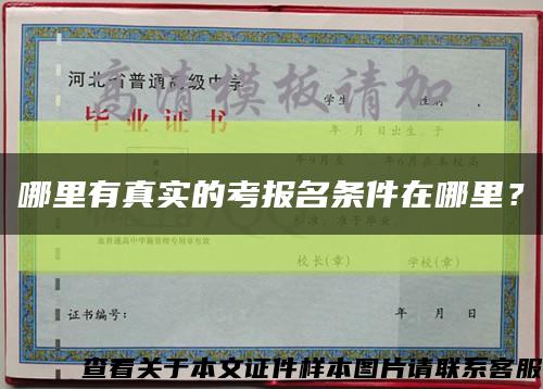 哪里有真实的考报名条件在哪里？缩略图
