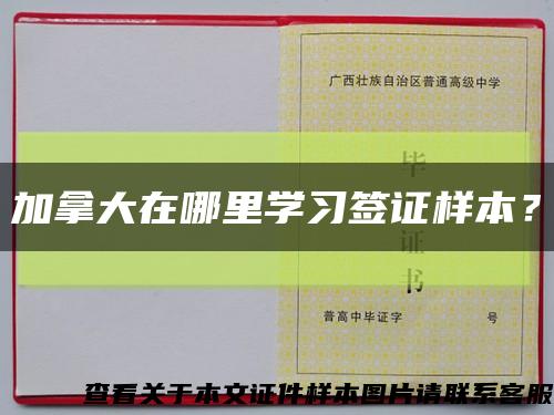 加拿大在哪里学习签证样本？缩略图