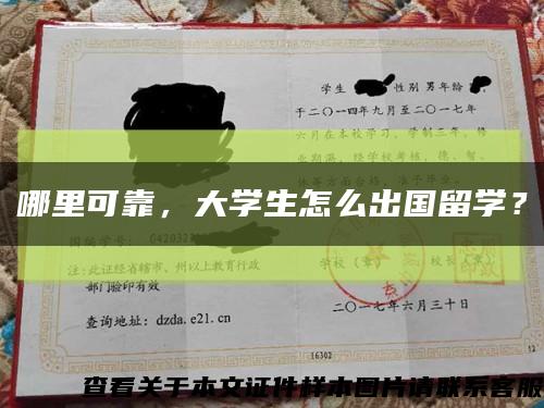 哪里可靠，大学生怎么出国留学？缩略图