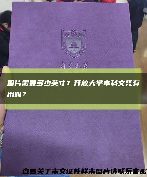 图片需要多少英寸？开放大学本科文凭有用吗？缩略图