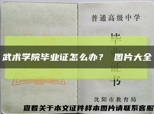 武术学院毕业证怎么办？ 图片大全缩略图