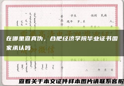 在哪里查真伪，合肥经济学院毕业证书国家承认吗缩略图