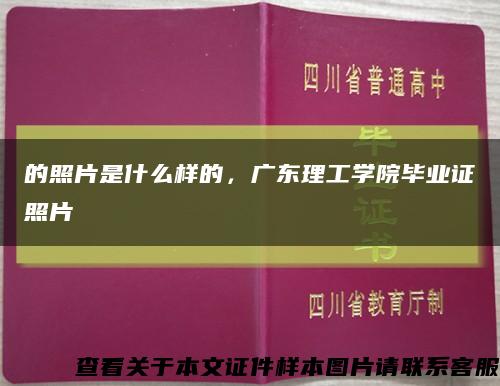 的照片是什么样的，广东理工学院毕业证照片缩略图