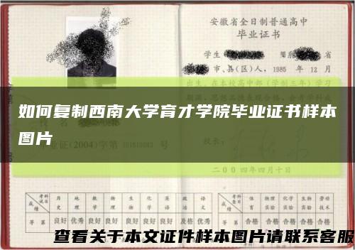 如何复制西南大学育才学院毕业证书样本图片缩略图
