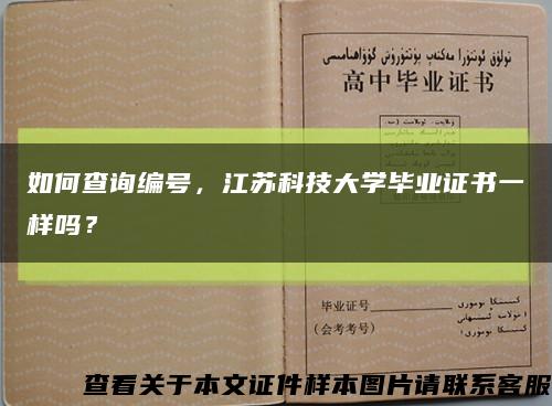 如何查询编号，江苏科技大学毕业证书一样吗？缩略图