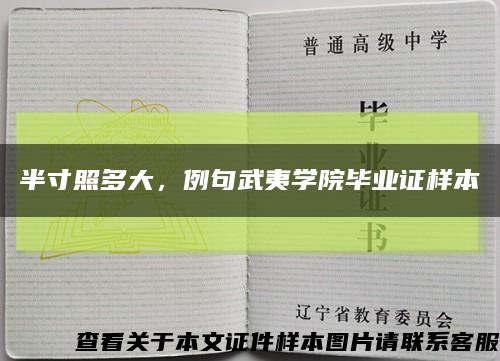 半寸照多大，例句武夷学院毕业证样本缩略图