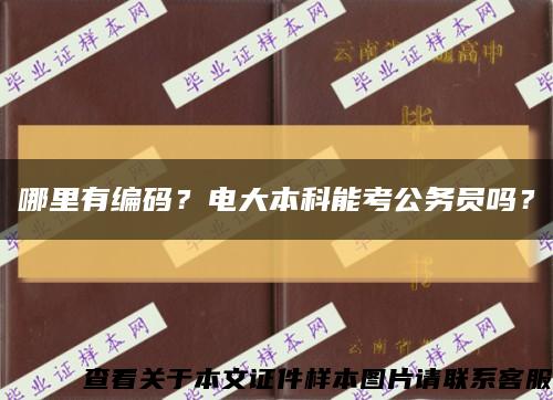 哪里有编码？电大本科能考公务员吗？缩略图