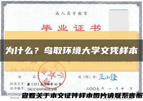 为什么？鸟取环境大学文凭样本缩略图