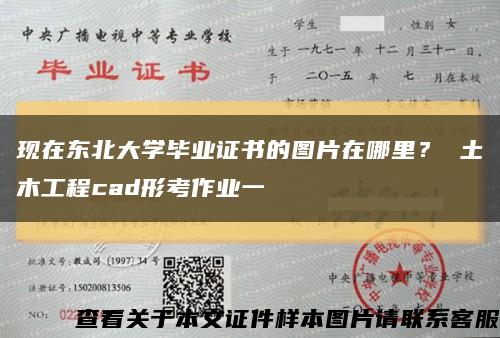 现在东北大学毕业证书的图片在哪里？ 土木工程cad形考作业一缩略图