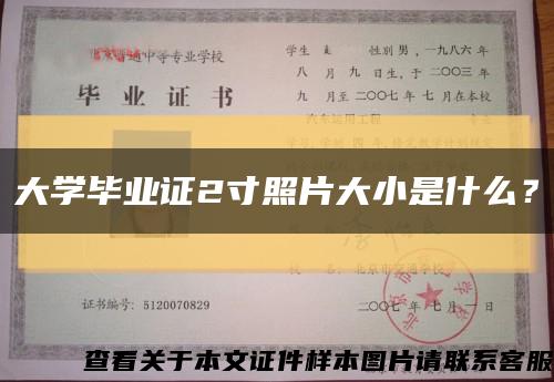 大学毕业证2寸照片大小是什么？缩略图
