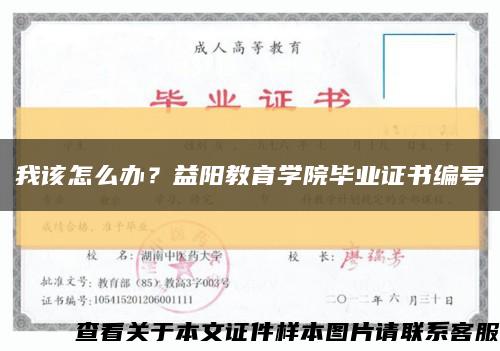 我该怎么办？益阳教育学院毕业证书编号缩略图