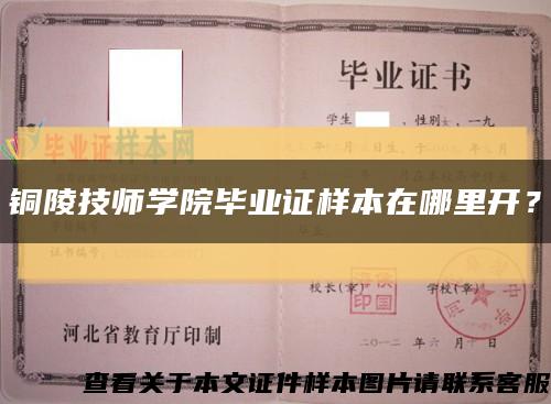 铜陵技师学院毕业证样本在哪里开？缩略图