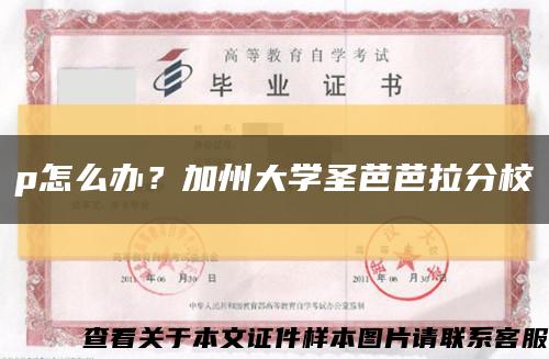 p怎么办？加州大学圣芭芭拉分校缩略图