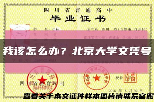 我该怎么办？北京大学文凭号缩略图
