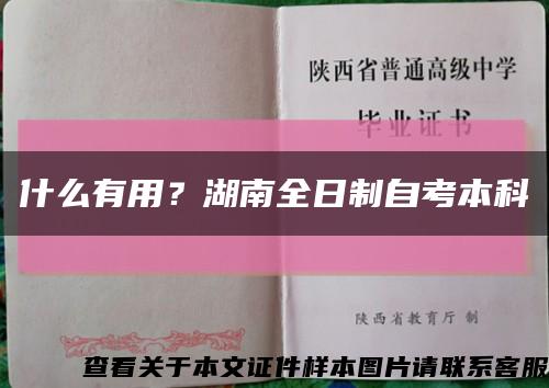 什么有用？湖南全日制自考本科缩略图