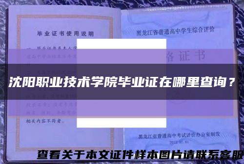 沈阳职业技术学院毕业证在哪里查询？缩略图