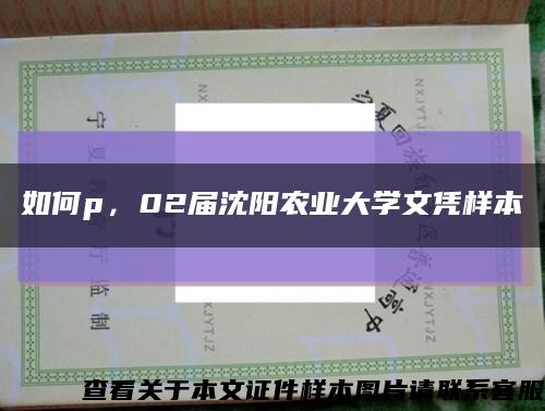 如何p，02届沈阳农业大学文凭样本缩略图