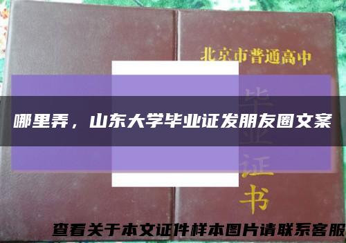 哪里弄，山东大学毕业证发朋友圈文案缩略图