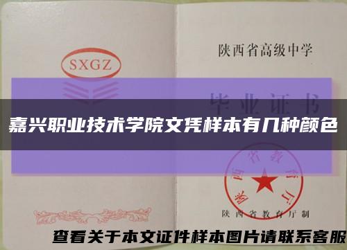 嘉兴职业技术学院文凭样本有几种颜色缩略图