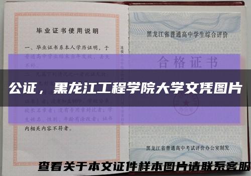 公证，黑龙江工程学院大学文凭图片缩略图