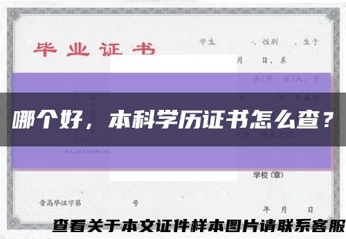 哪个好，本科学历证书怎么查？缩略图