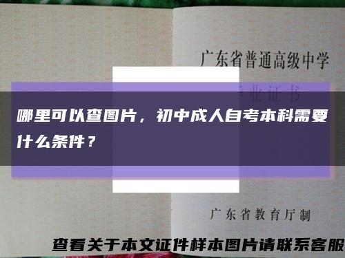 哪里可以查图片，初中成人自考本科需要什么条件？缩略图