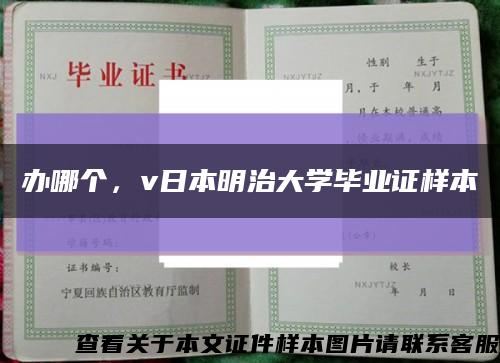 办哪个，v日本明治大学毕业证样本缩略图