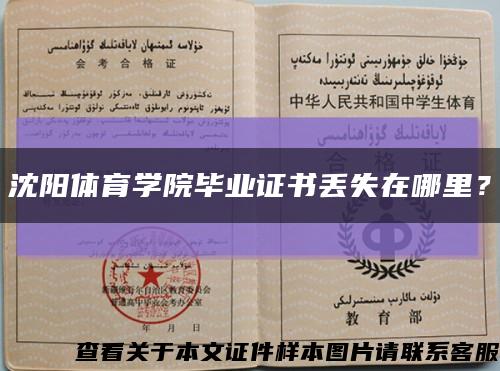 沈阳体育学院毕业证书丢失在哪里？缩略图