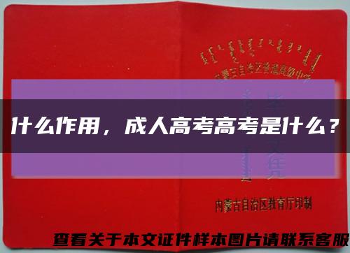 什么作用，成人高考高考是什么？缩略图