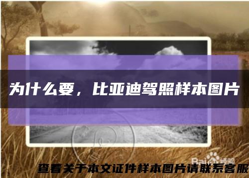 为什么要，比亚迪驾照样本图片缩略图