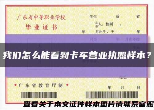 我们怎么能看到卡车营业执照样本？缩略图