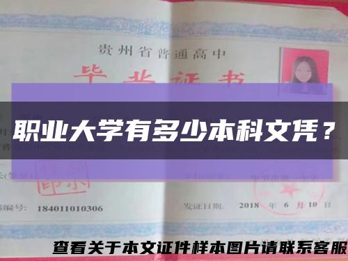职业大学有多少本科文凭？缩略图