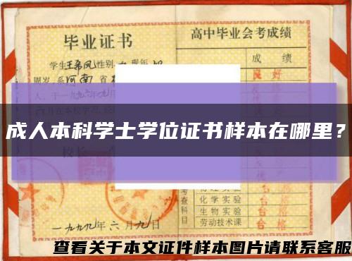 成人本科学士学位证书样本在哪里？缩略图