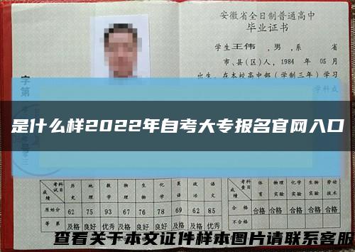 是什么样2022年自考大专报名官网入口缩略图