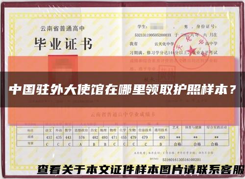 中国驻外大使馆在哪里领取护照样本？缩略图