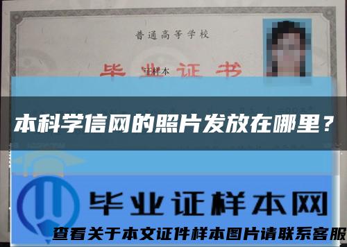 本科学信网的照片发放在哪里？缩略图
