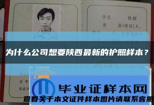 为什么公司想要陕西最新的护照样本？缩略图