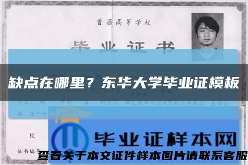 缺点在哪里？东华大学毕业证模板缩略图