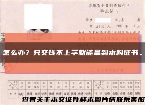 怎么办？只交钱不上学就能拿到本科证书。缩略图