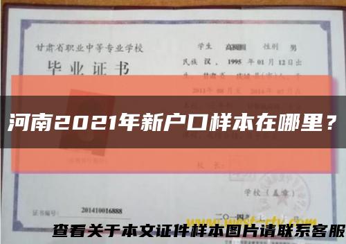 河南2021年新户口样本在哪里？缩略图