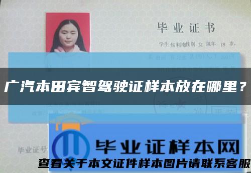 广汽本田宾智驾驶证样本放在哪里？缩略图