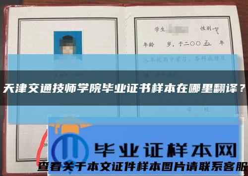 天津交通技师学院毕业证书样本在哪里翻译？缩略图