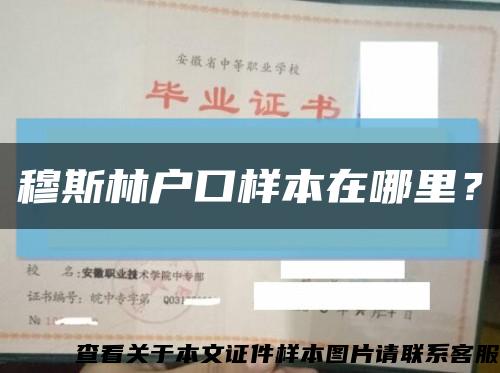 穆斯林户口样本在哪里？缩略图