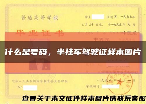 什么是号码，半挂车驾驶证样本图片缩略图
