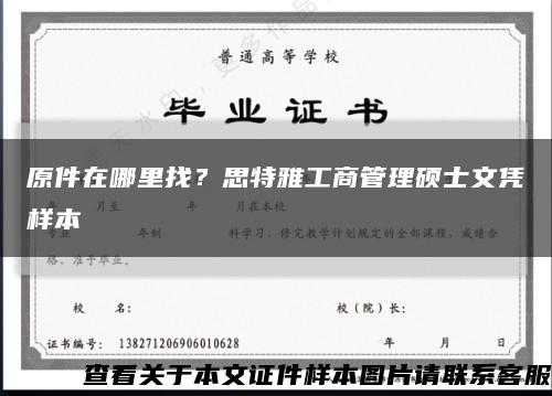 原件在哪里找？思特雅工商管理硕士文凭样本缩略图